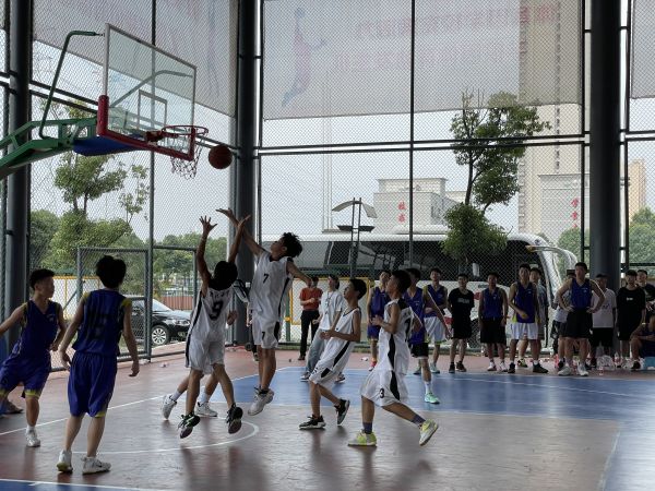 埠头镇中心小学篮球赛_水头二小校园篮球赛_庄头小学篮球赛冠军视频