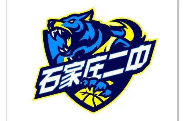 2020重庆高中篮球联赛_重庆高中篮球锦标赛_重庆高中校园篮球赛冠军