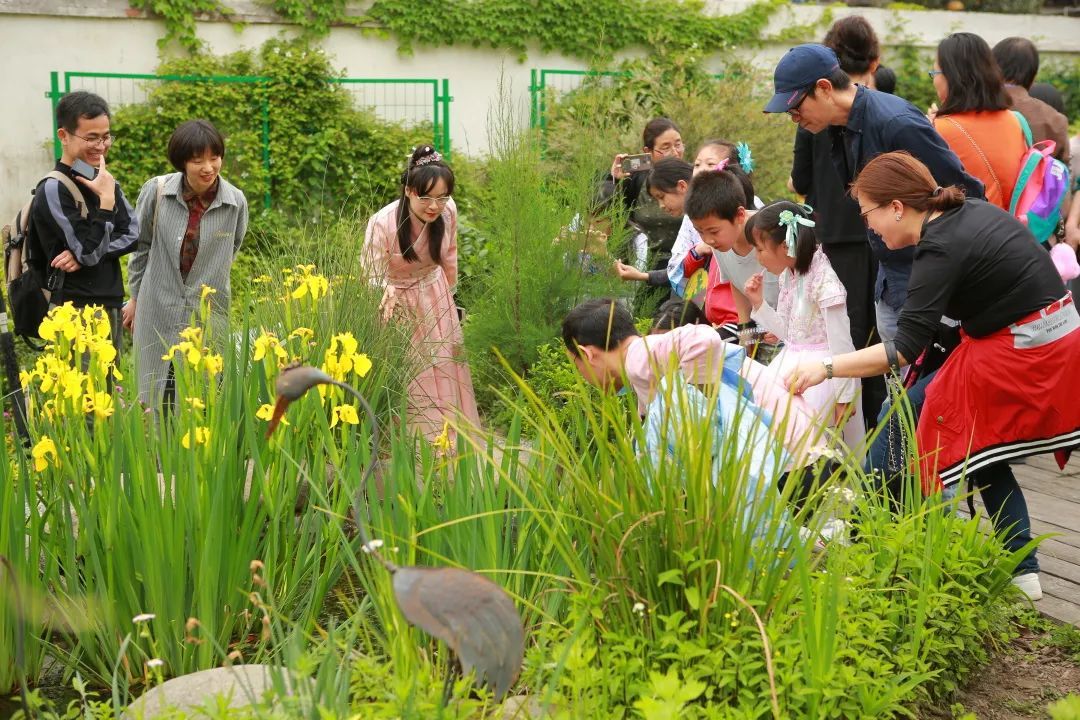 绿色家庭生活理念_绿色家庭有什么作用_家庭绿色生活方式